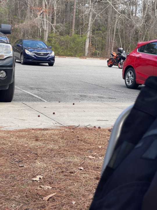 Trying to make the best of the last “good” day of weather before temps go back to the 50’s