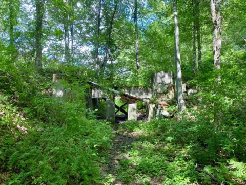 DoRa the eXpLoRa, out there doin’ her thing. 