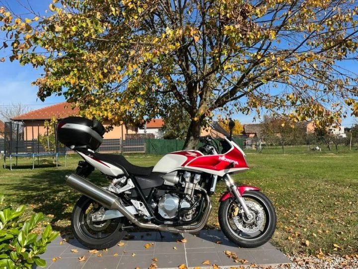 Autumn colors