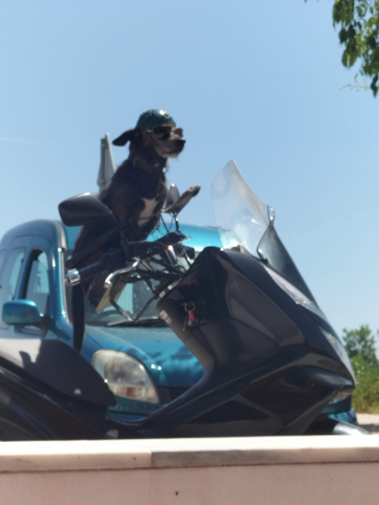 I see the weirdest things when I'm out working.