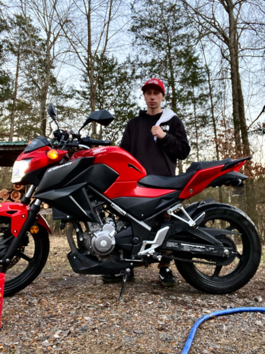 ??? if you live in Knoxville tn give me follow and I follow you back trying to find the wolf pack