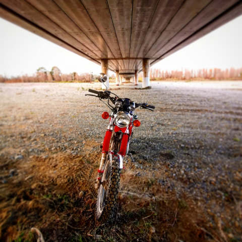 Just hanging out under a bridge ? #newzealand