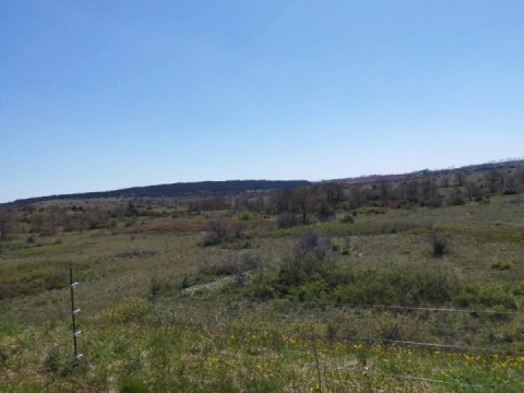 Departure from Saint Léon, Larzac, Nant, the Dourbie Gorges,