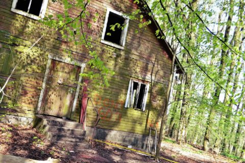 Out in the beech forest and an abandoned dance hall 