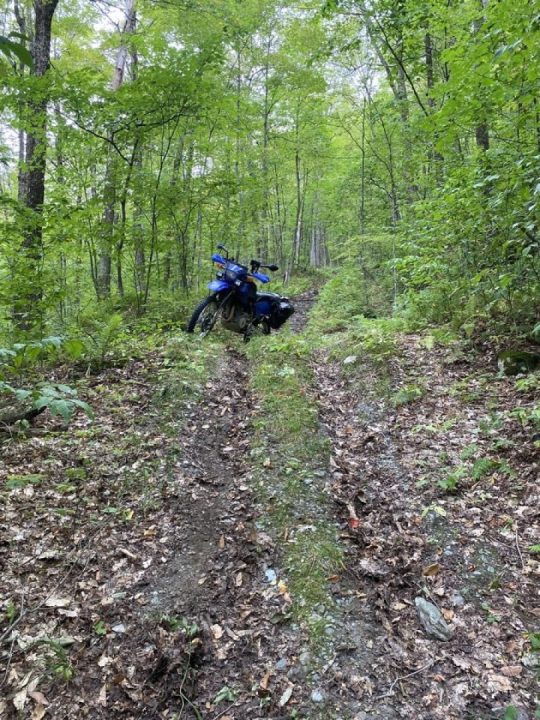 A decent descent. Six minutes downhill.