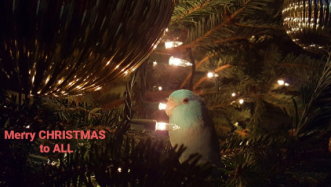 Merry Christmas my 2Wheel Family ???