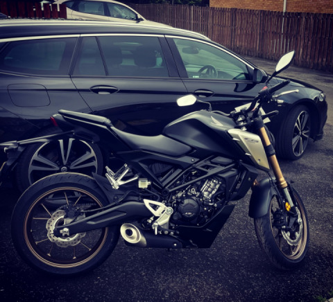 New Member - @sh4rch1t3kt (insta giz a follow)