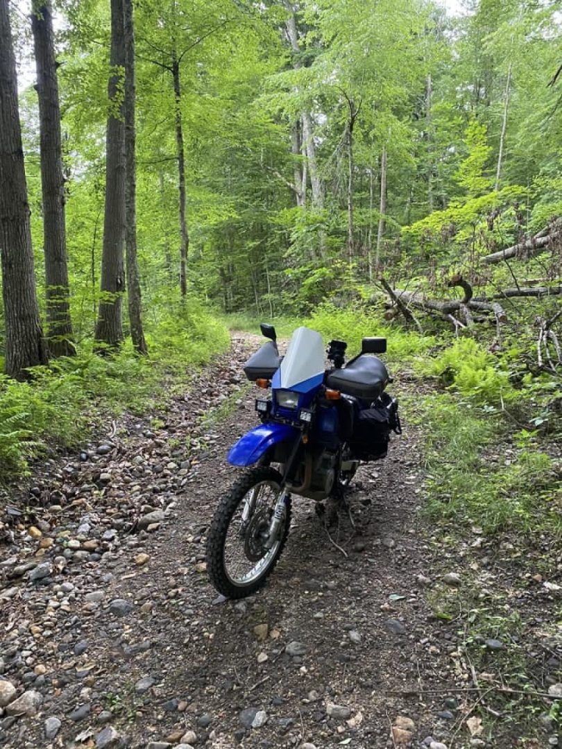 Ride and seek