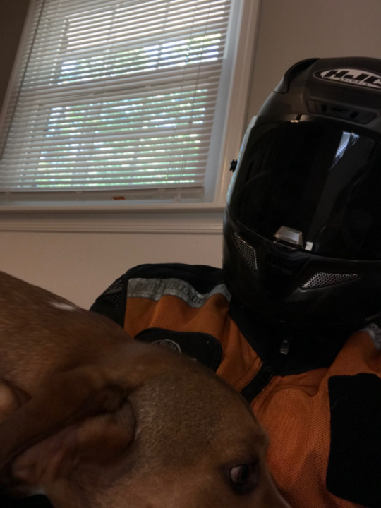 Just got back from a nice solo ride