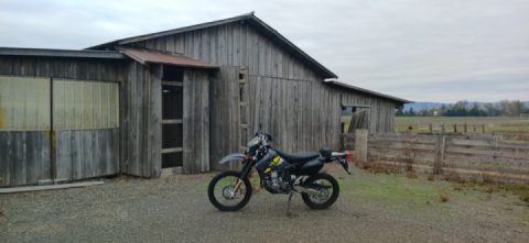 Took a putt around the ranch