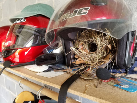 Enough of this Isolation. Apparently, I've got to ride more often.