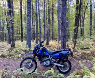 New 2 trails again