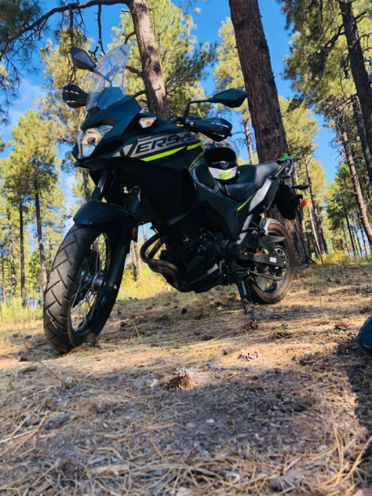 Hallelujah for some cooler weather