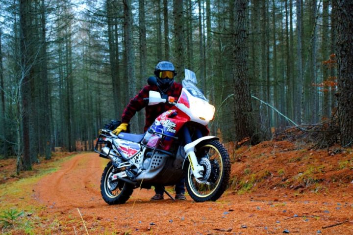 Snow's melted and quite a mild 5c so decided to chuff around the woods for the afternoon 
