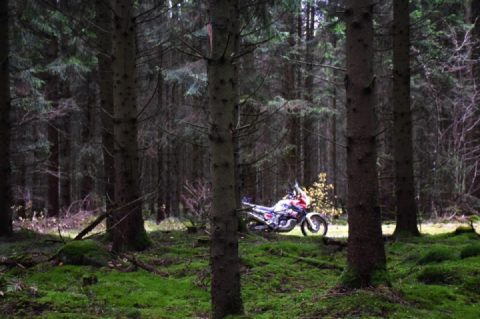 Out for the day in the northern part of Skåne county/Sweden. 12c overcast but no rain 