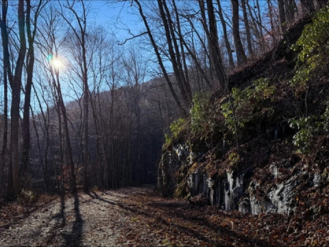 A ride in the morning sun