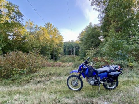 Da’ Spencery roots