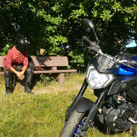 The trouble I go through to take a picture?