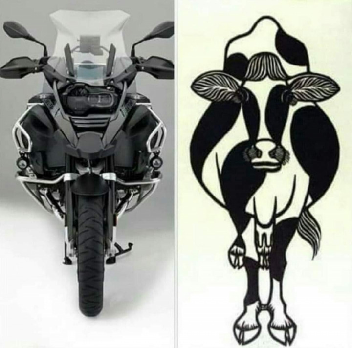 Buy a BMW R1200 if you love cows