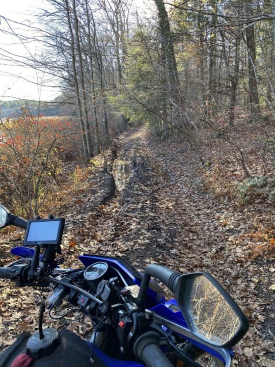 Den again, sure why not?