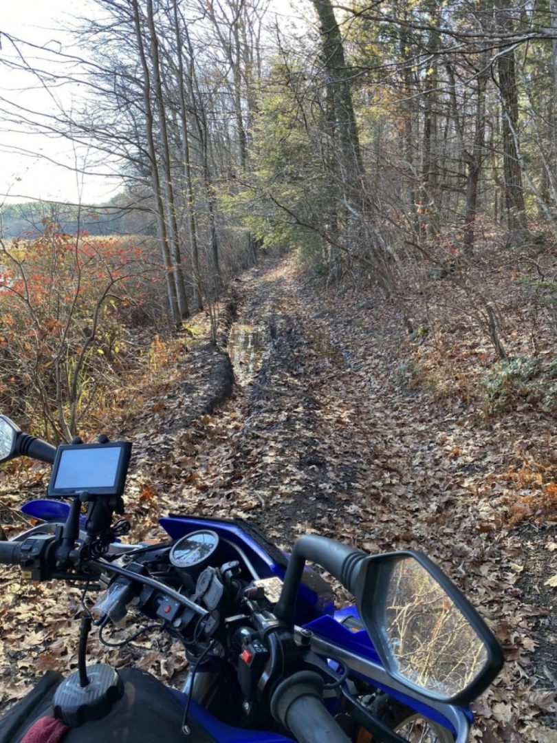 Den again, sure why not?