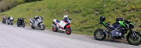 Today I went on a really nice tour with my work colleagues. 