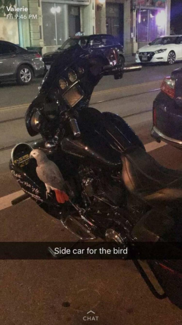 Sidecar for the bird
