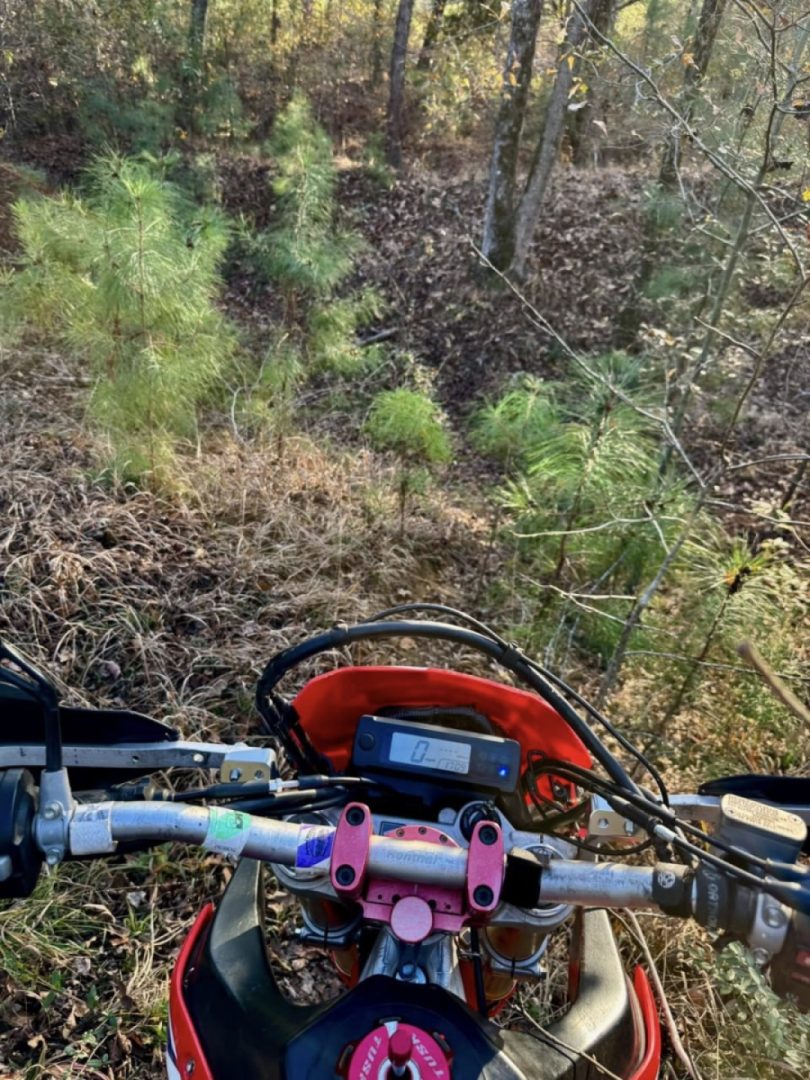 Found some new trails in the making today