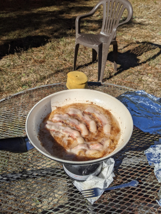 Maintenance, Bacon, & LROTY