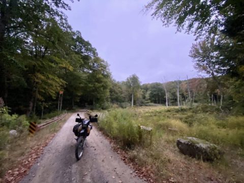 Nipmonkey rides again