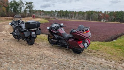 Sandwich for a sandwich, and both Bridges kinda day.