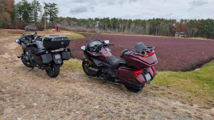 Sandwich for a sandwich, and both Bridges kinda day.
