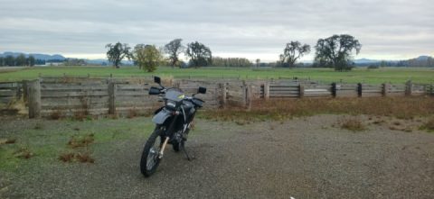 Took a putt around the ranch