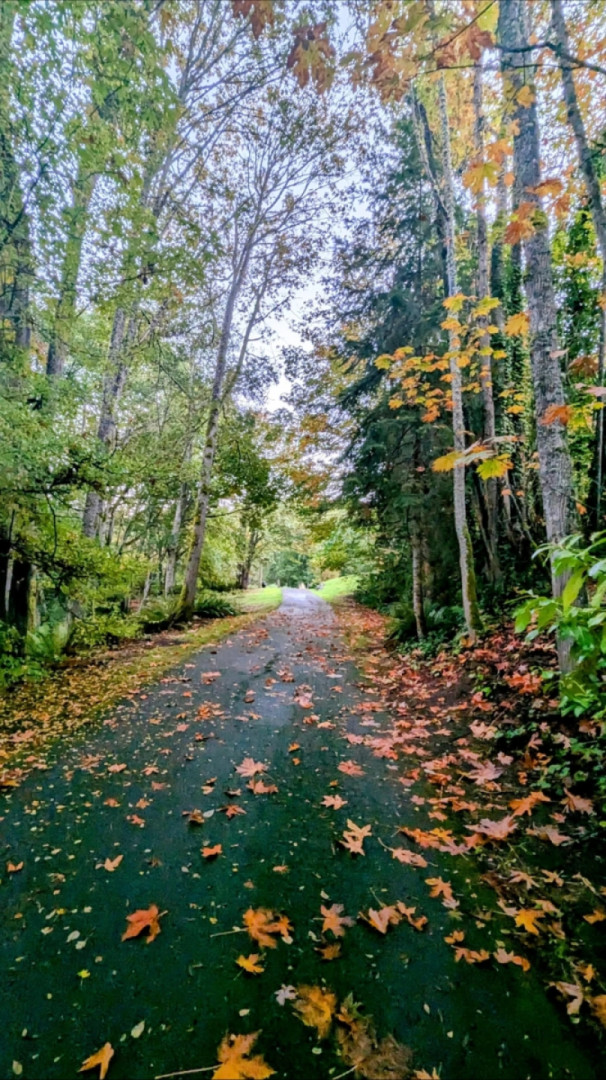 Seattle Autumn