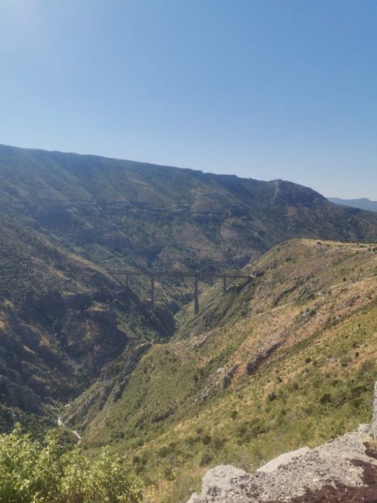 Having a great time the rest of the summer