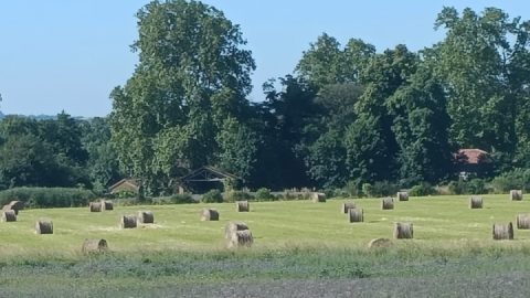 Out again with Ducati!