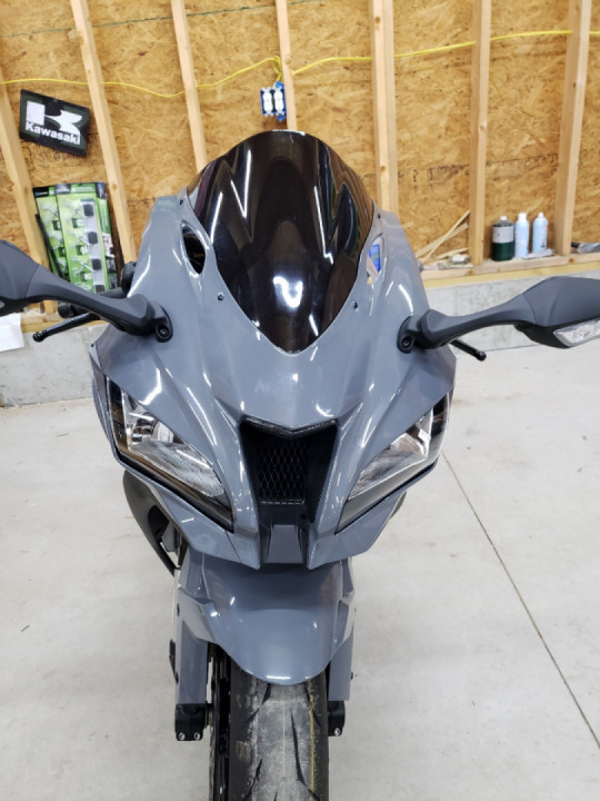 Which do you prefer for the Grey Demon?