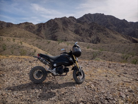 Out on the trail..... v day 2021.