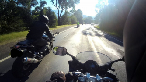 Black Spur run to Marysville VIC