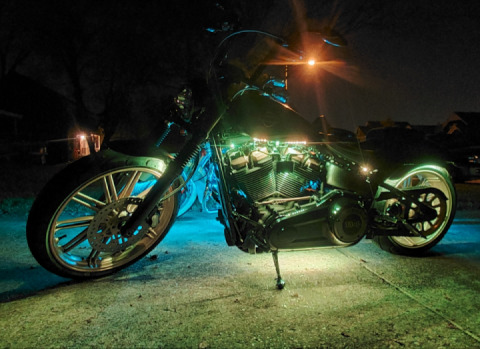 All Lit Up for Christmas