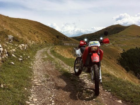 What do you think...doesn't he seem to be smiling?