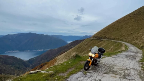 Top view, superb color