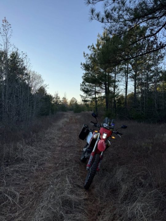 When you leave work early and take the long way home, you always end up feeling much better.