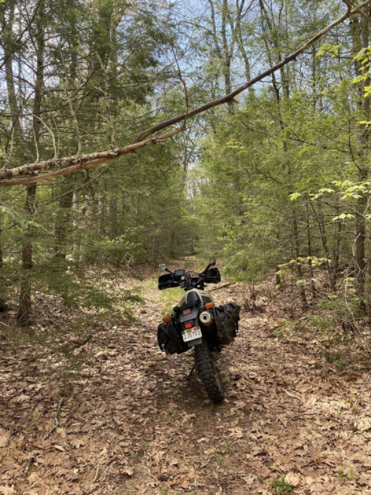 Gettin’ my fix in the sticks