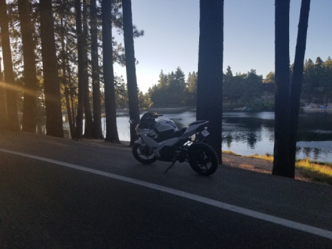 Hope everyone is enjoying their day. ✌?