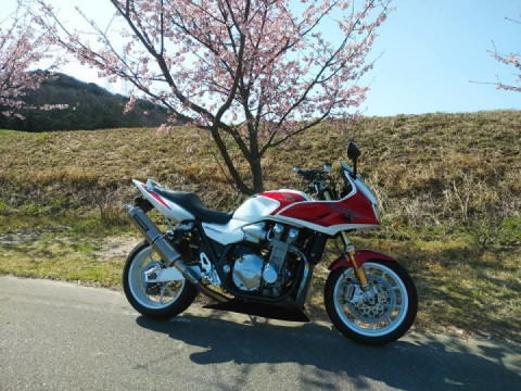 I have cherry blossoms and CB ❤️