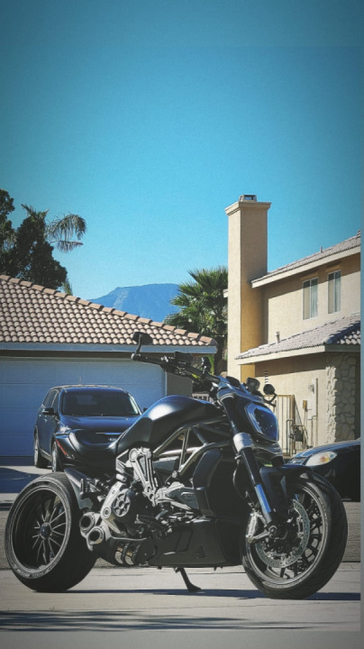 Sexy Beast? #sexualvibeshere