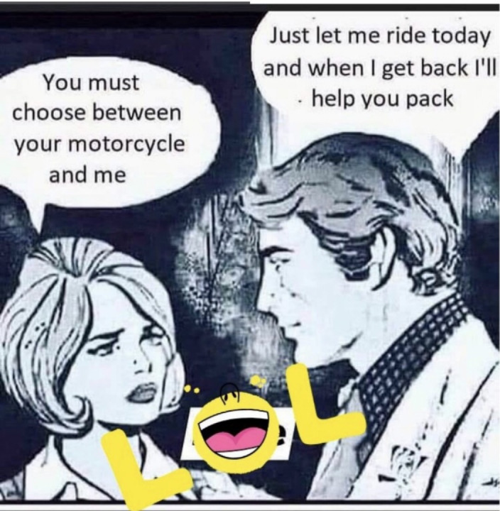 Hello, I’m a thief and I’m ready to steal your heart!