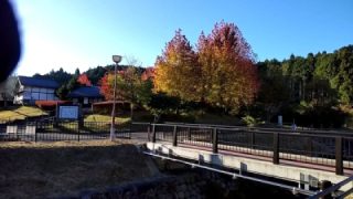 It's a cold, cold morning😆