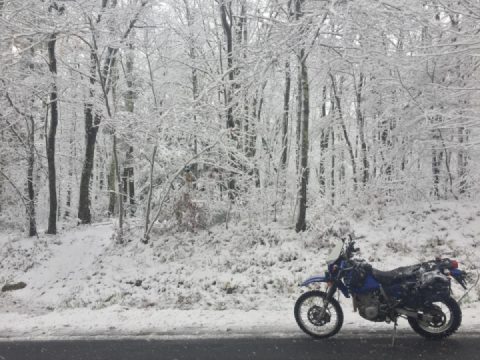 Today is a very, very beautiful winter day. ❄️❄️